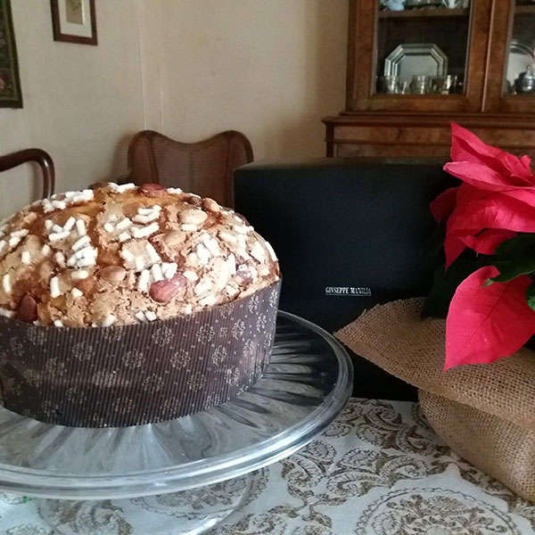 Panettone Maison Manilia