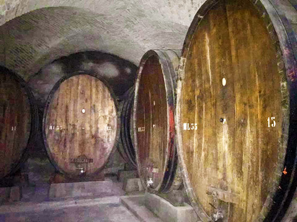 Le botti nella Cantina Bramante