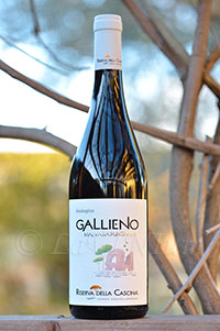 Gallieno Malvasia Puntinata 2017 Riserva della Cascina