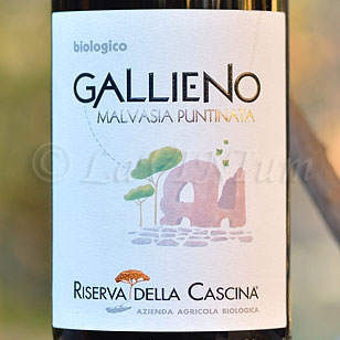 Gallieno Malvasia Puntinata 2017 Riserva della Cascina