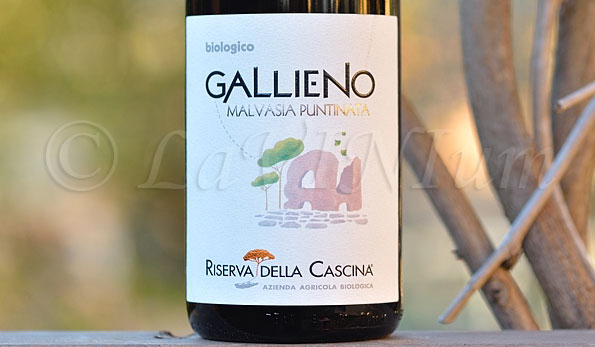 Gallieno Malvasia Puntinata 2017 Riserva della Cascina