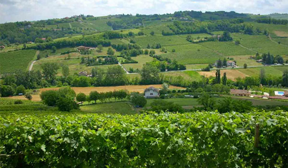 Paesaggio da Nizza Monferrato