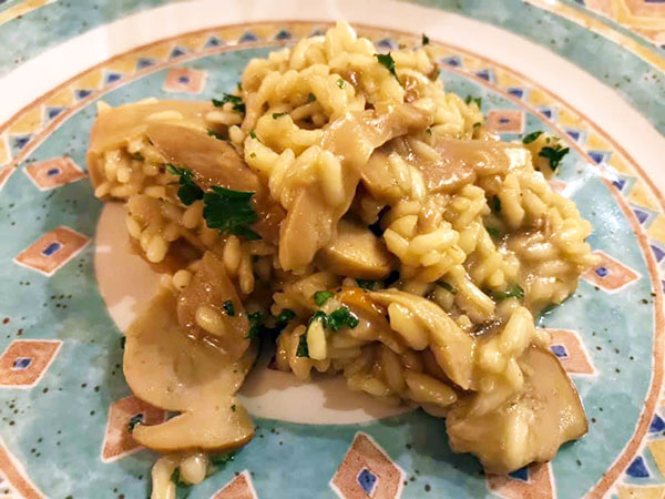 Risotto con funghi