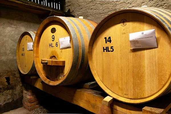 I tonneaux di rovere
