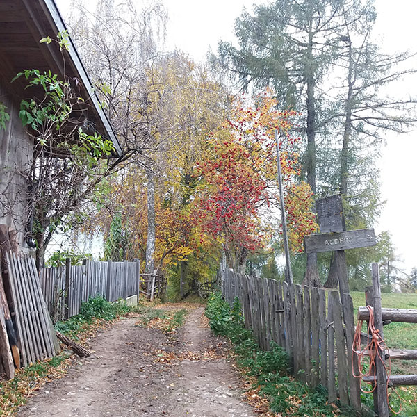 Afingsbruckhof Sarentino