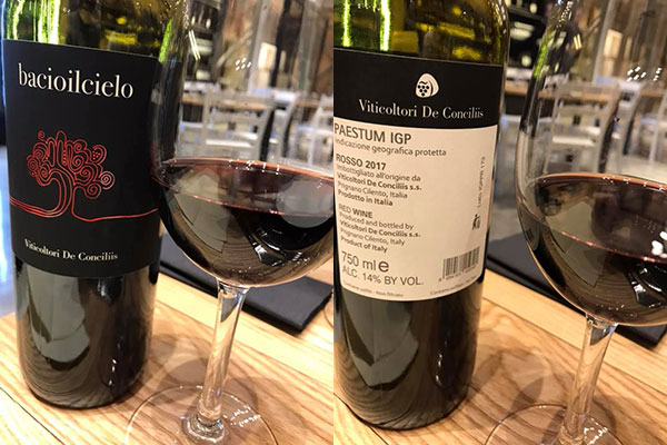 Bacioilcielo 2017 De Conciliis