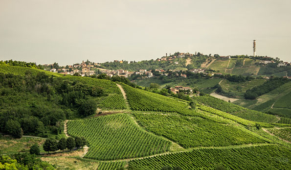 Il territorio del Buttafuoco Storico