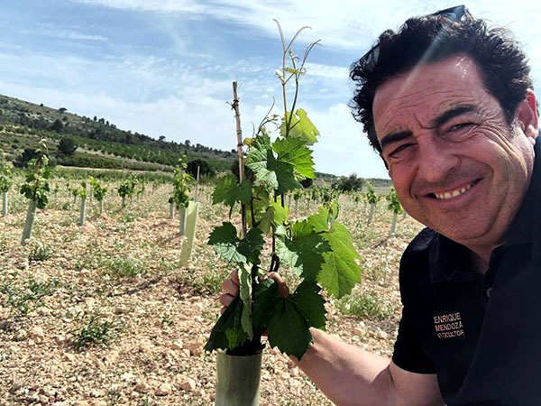 José Mendoza Gracia