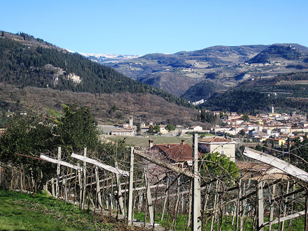 paesaggio in Valpolicella