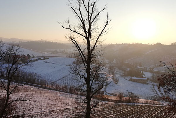 Campagna in Oltrepò