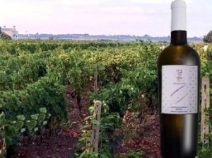 Chardonnay Tenute Tocci