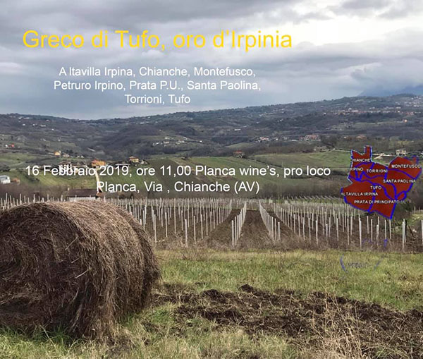 Locandina evento Planca's Wines