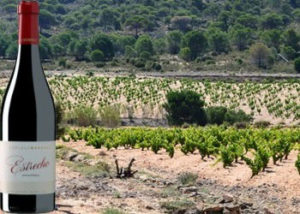 ”Estrecho” Monastrell Alicante 2014 Enrique Mendoza