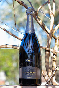 Trento Tridentum Riserva Extra Brut 2010 Cesarini Sforza