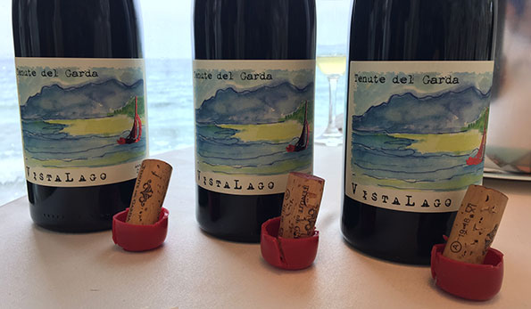 Vista Lago Tenuta del Garda