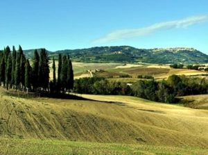 Montalcino vista da Torrenieri