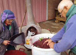 Paolina Spessot e Nereo Bressan