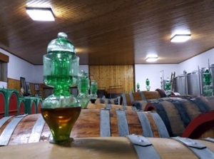 bottaia azienda Bressan