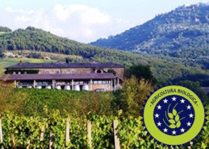 vigne Casato Prime Donne