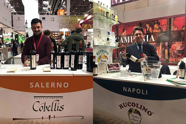 Cobellis e Ischia Sapori