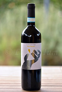 Lacryma Christi del Vesuvio Don Vincenzo 2014 Casa Setaro