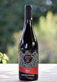 Sicilia Flami 2016 Tenuta Cuffaro