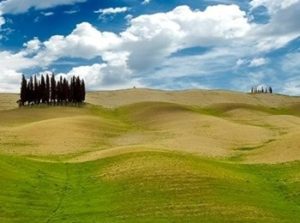 la campagna di Torrenieri