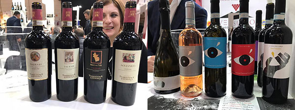 Le etichette di Terredora e Casa Setaro