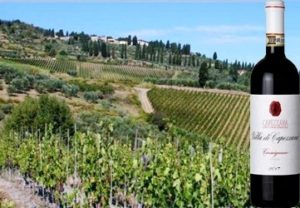 Carmignano Rosso 2013 Villa Capezzana