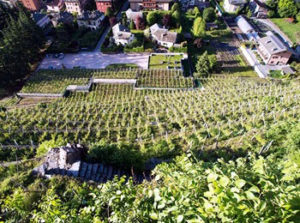 La cantina ipogea vista dall'alto
