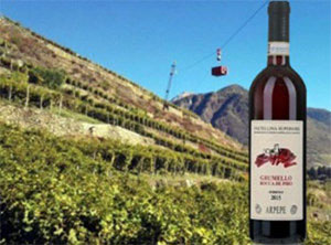 Valtellina Superiore Grumello ”Rocca De Piro” 2015