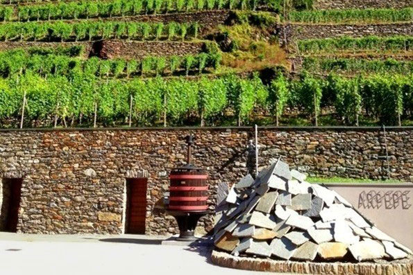 >ingrsso azienda Ar.Pe.Pe.