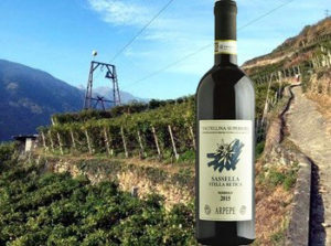 Valtellina Superiore Sassella Stella Retica 2015 Ar.Pe.Pe.