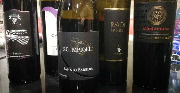 vini Barbera del Sannio