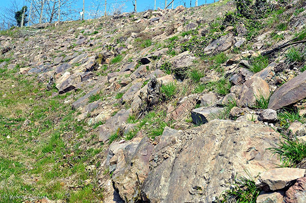 Il porfido che domina sul vigneto di Cascina Montalbano