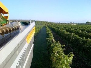 veduta dallo Shangri-LA