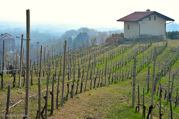 Podere ai Valloni