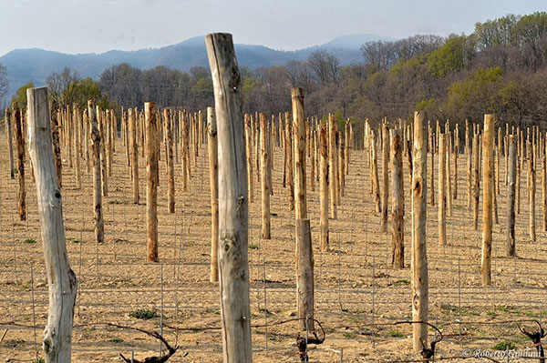nelle terre del Boca