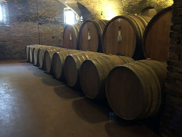 La cantina del Castello di Neive