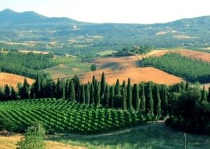il paesaggio da Montepulciano