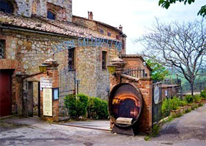 Azienda vinicola Gattavecchi