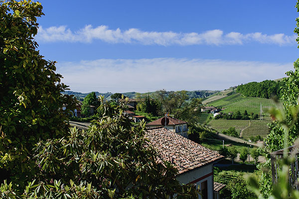 I vigneti dal Castello di Neive