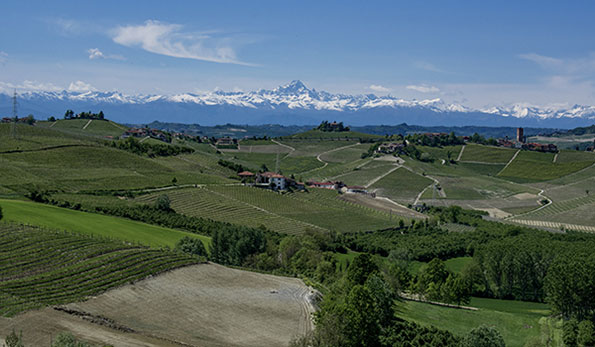Il Monviso dai vigneti di Barbaresco