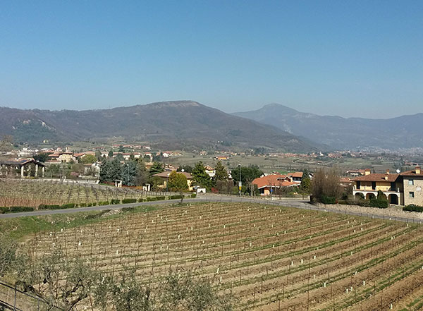 Vista dall'azienda I Barisèi