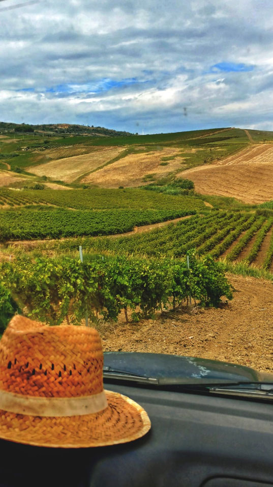 vigneti Antonio Gerardi