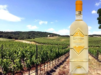 Vermentino di Gallura Capichera