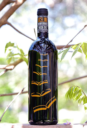 Monferrato Rosso Uceline 2012 - Cascina Castlet