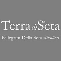 logo Terra di Seta