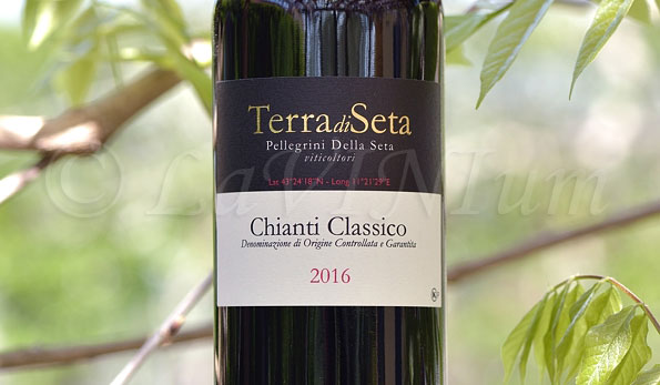Chianti Classico 2016 Terra di Seta