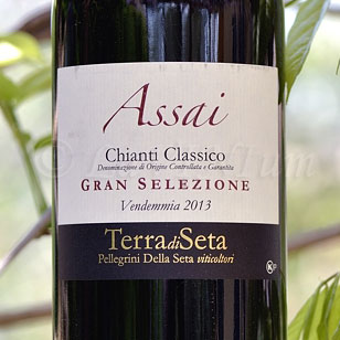 Chianti Classico Gran Selezione Assai 2013 Terra di Seta